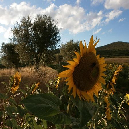 הוילה Tavernelle  I Casali Di Colle San Paolo מראה חיצוני תמונה