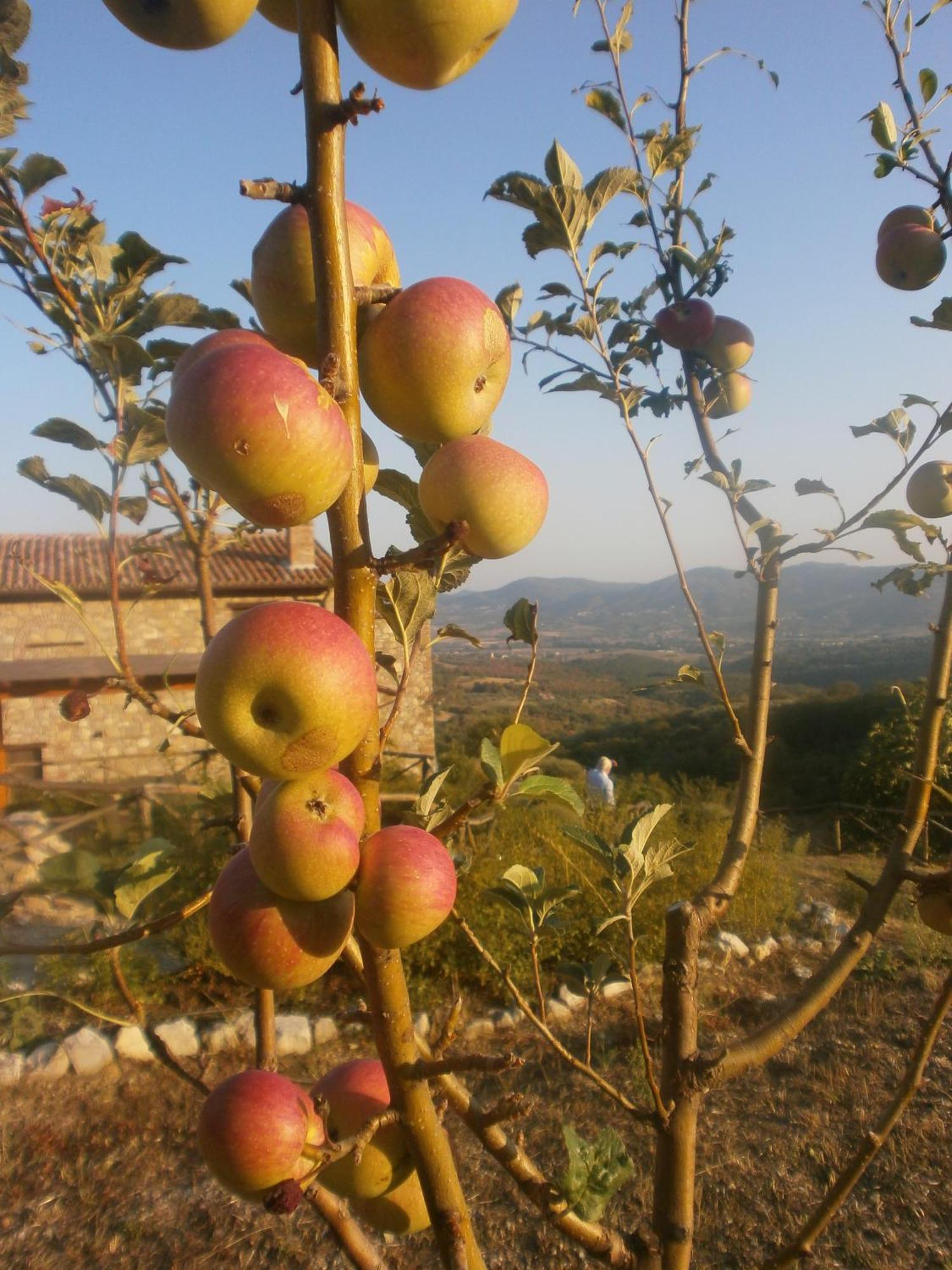הוילה Tavernelle  I Casali Di Colle San Paolo מראה חיצוני תמונה