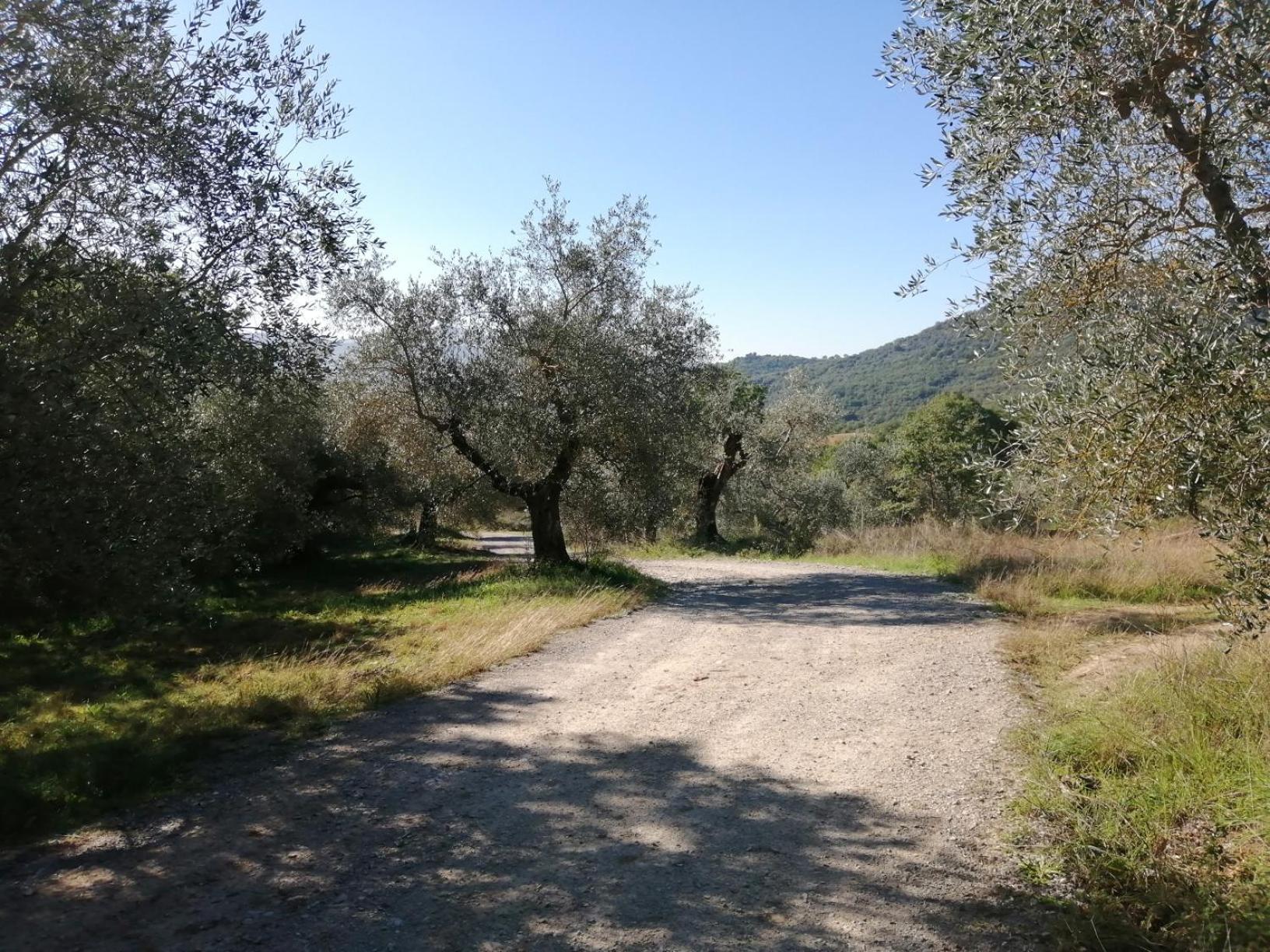 הוילה Tavernelle  I Casali Di Colle San Paolo מראה חיצוני תמונה