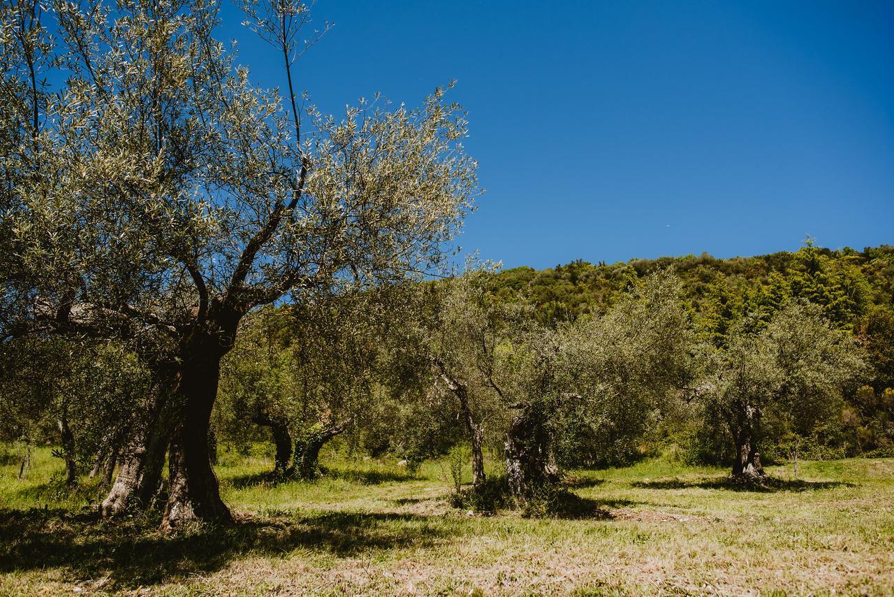 הוילה Tavernelle  I Casali Di Colle San Paolo מראה חיצוני תמונה