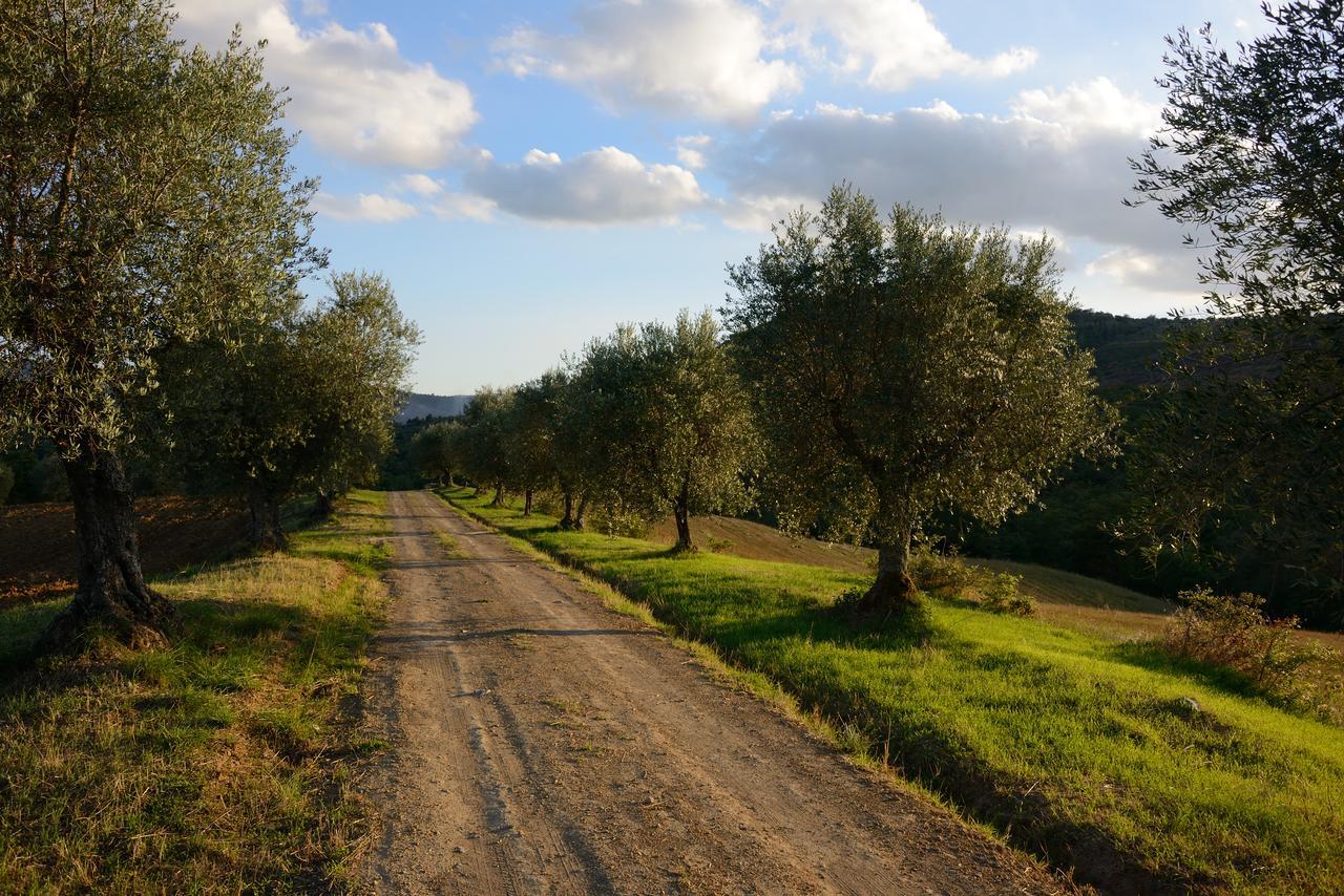 הוילה Tavernelle  I Casali Di Colle San Paolo מראה חיצוני תמונה